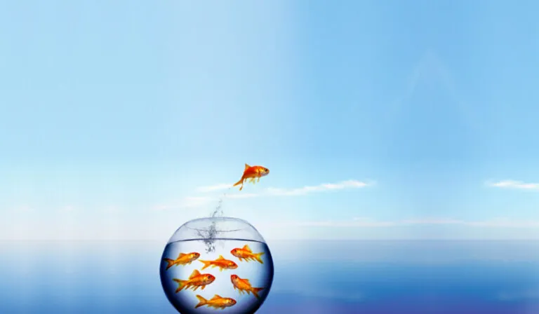 One Way Small Business Can Make Marketing Elbow Room