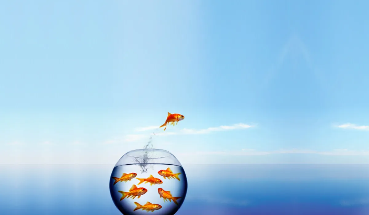 one way small business can make marketing elbow room 1200x700 1 One Way Small Business Can Make Marketing Elbow Room