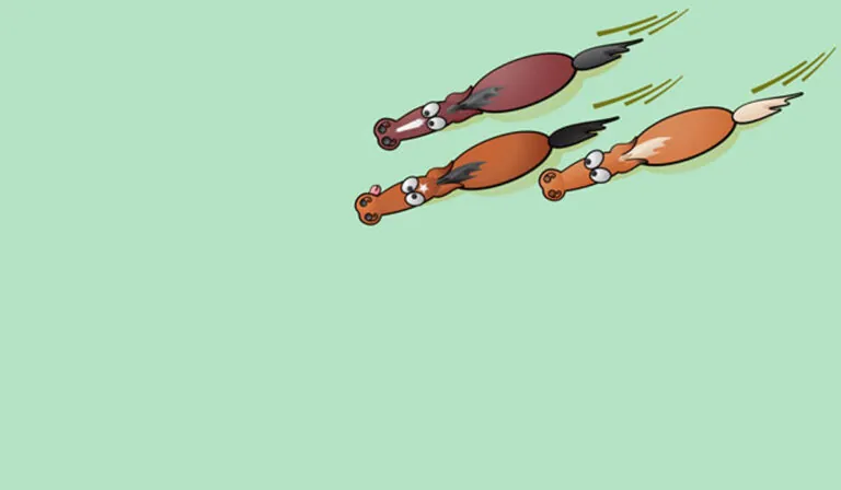 How to Counter the Internet Marketing Horse Race