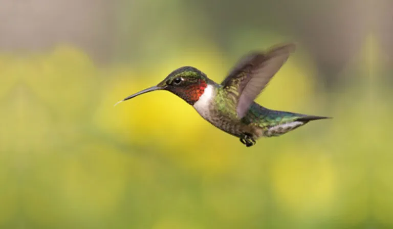 Is Your Business Website Humming Right Along With Google?