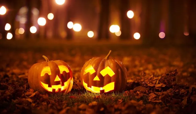 The Scariest Things We’ve Seen in Two Years at Kayak Online Marketing