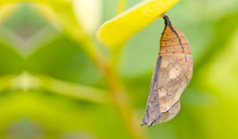 Why Marketing Personas Need to Change Over Time