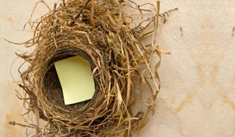 Does your Online Partner Want You to Leave the Nest?