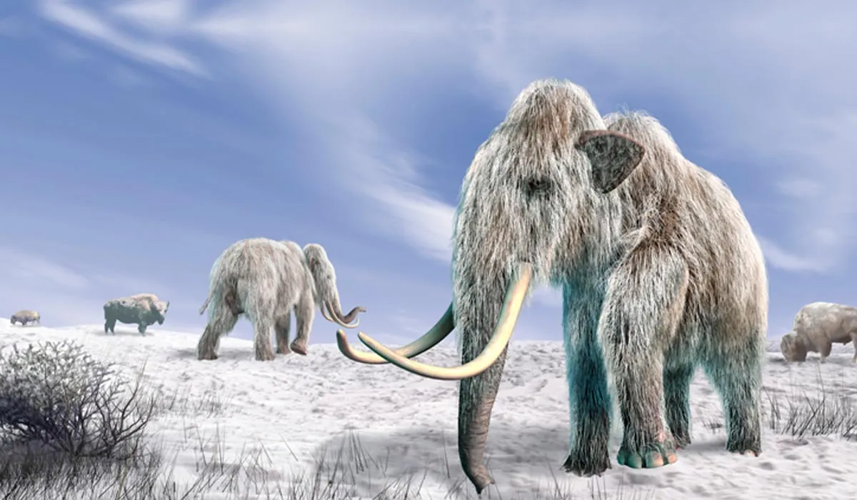 mammoth blog 1200x700 2 To Blog or Not To Blog – Are Social Tools Ready Replace Them?