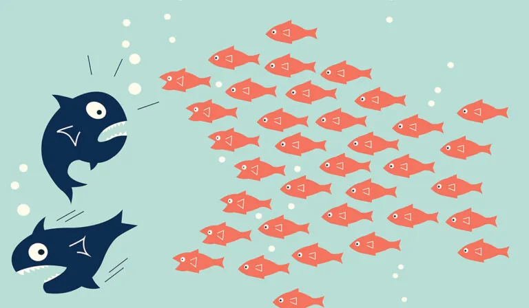 Big Fish or Big Pond? Search Localization Changes Everything