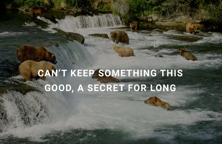 no-secret-NO-MORE.jpg