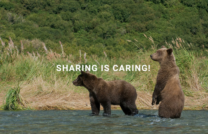 sharing-is-caring.jpg