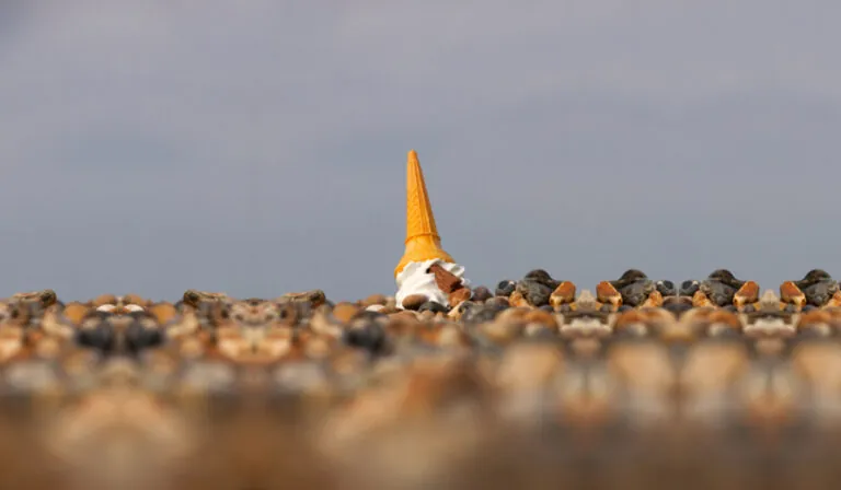 The 3 Biggest Internet Marketing “OOPS” You Probably Made in 2012