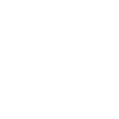 ceo works